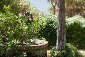 Terrain de l’hébergement 