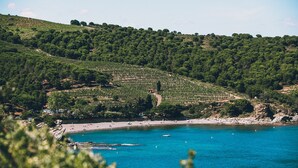 A coastal landscape with vineyards and a beach. - Regina's Banyuls - Apartment with the best view over Banyuls and the sea (Banyuls-sur-Mer)