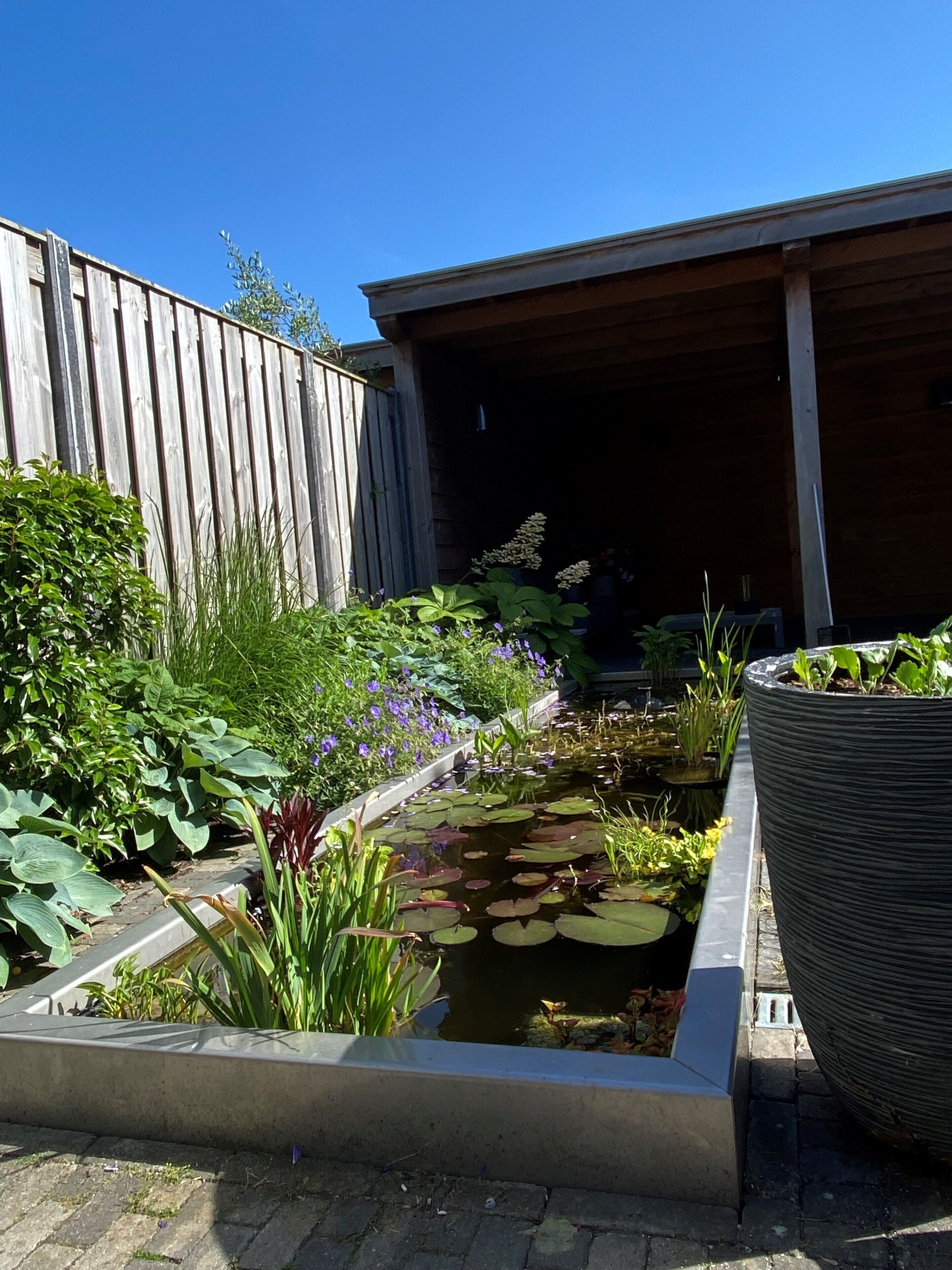 Terrein van de accommodatie