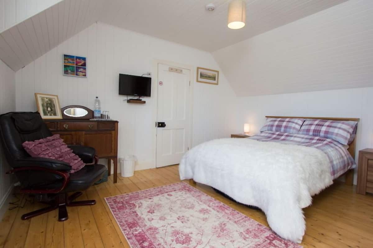 A bedroom with a bed, a desk, a chair, a television, and a door.
