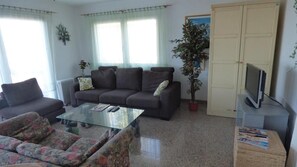 TV, fireplace, DVD player