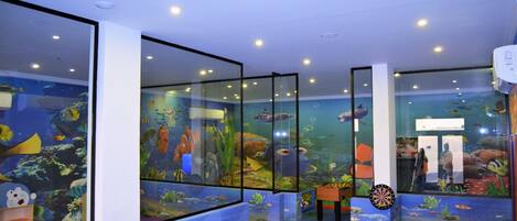 Un aquarium intérieur avec des murs en verre, abritant différentes espèces de la vie marine, et équipé d’un jeu de fléchettes.
