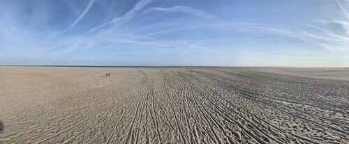 Holiday house dune bungalow in holiday park Klepperstee