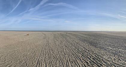 Holiday house dune bungalow in holiday park Klepperstee