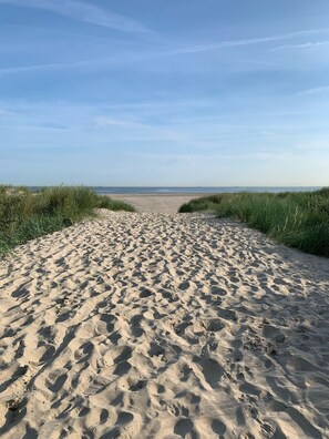 A sandy beach path leading to the sea, flanked by grass.
