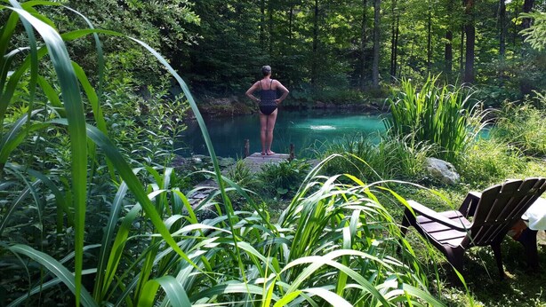 A person standing on a wooden dock overlooking a clear blue pond surrounded by lush greenery. - Chalet Sean, peaceful retreat on beautiful mountain brook and walk to river.. (Sutton)