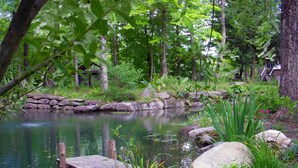 A tranquil pond with a wooden dock, surrounded by lush greenery and trees. - Chalet Sean, peaceful retreat on beautiful mountain brook and walk to river.. (Sutton)