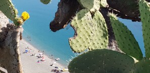 Gandules de platja 