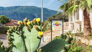 Une enseigne d’hôtel avec une montagne en arrière-plan, un cactus au premier plan et un palmier sur la droite.