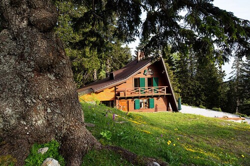 Chalet Alpinka  1 ****   for 6+2, Ski resort Krvavec 1.500m