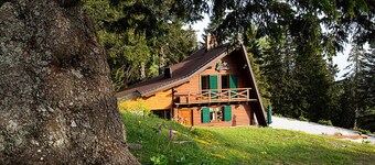 Chalet Alpinka  1 ****   for 6+2, Ski resort Krvavec 1.500m