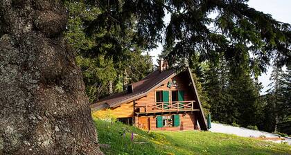 Chalet Alpinka 1 **** pour 6 + 2, station de ski Krvavec 1. 500m