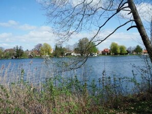 Enjoy a serene lakeside view with a calm lake and surrounding trees.