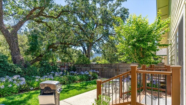 A backyard with a barbecue grill, wooden deck, and a view of a tree-lined area. - Glen Ellen Retreats Coastal Cottage (Glen Ellen)