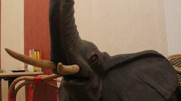 Una habitación con una escultura decorativa de cabeza de elefante, una silla tejida y un escudo en la pared.