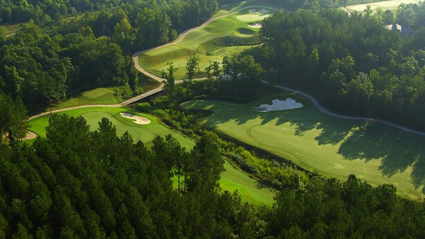 An aerial view of a golf course surrounded by dense forest. - "NEW" Designed for Comfort and Relaxation and close to everything! (Hot Springs)