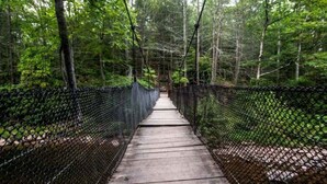 A suspension bridge in a forested area with a concrete pathway and chain-link safety netting on both sides. - Spacious! Recent Remodel! 6 Min. to Raystown Lake! Linens&Towels provided! (Saxton)