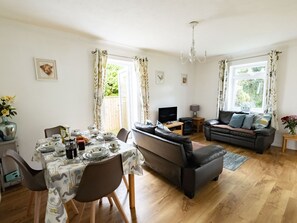 تلفزيون، مشغل دي في دي