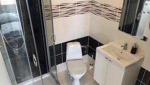 A modern bathroom with a glass-enclosed shower, a toilet, and a sink.