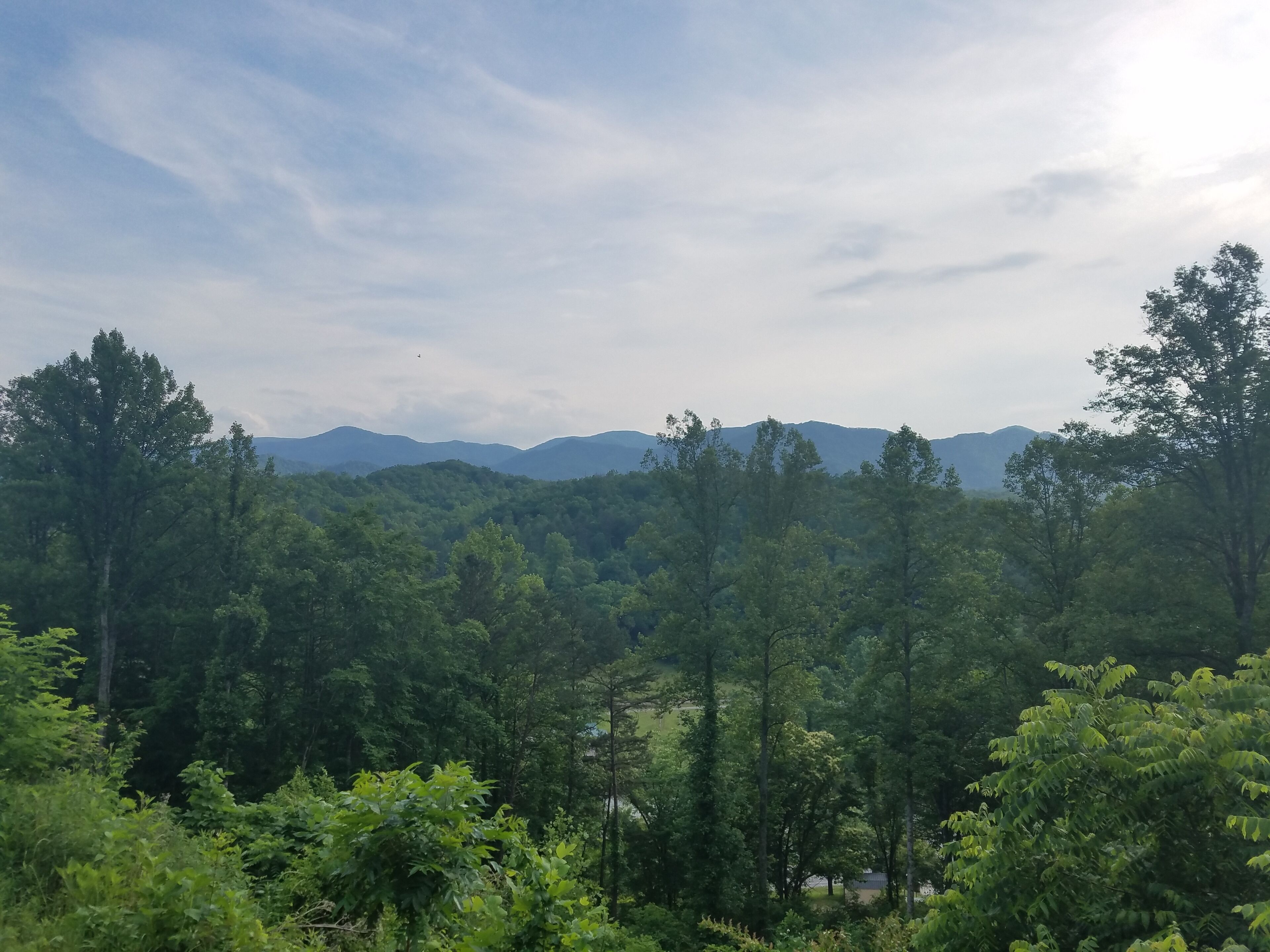 Altitude Adjustment is  Private & dog friendly with a view! Near Casino,  WCU