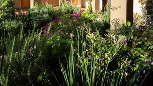 A courtyard with a building featuring arched doorways and a balcony. - Hotel Casa Naré - Adults Only (San Miguel de Allende)