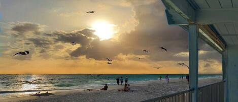 A la platja i tovalloles de platja