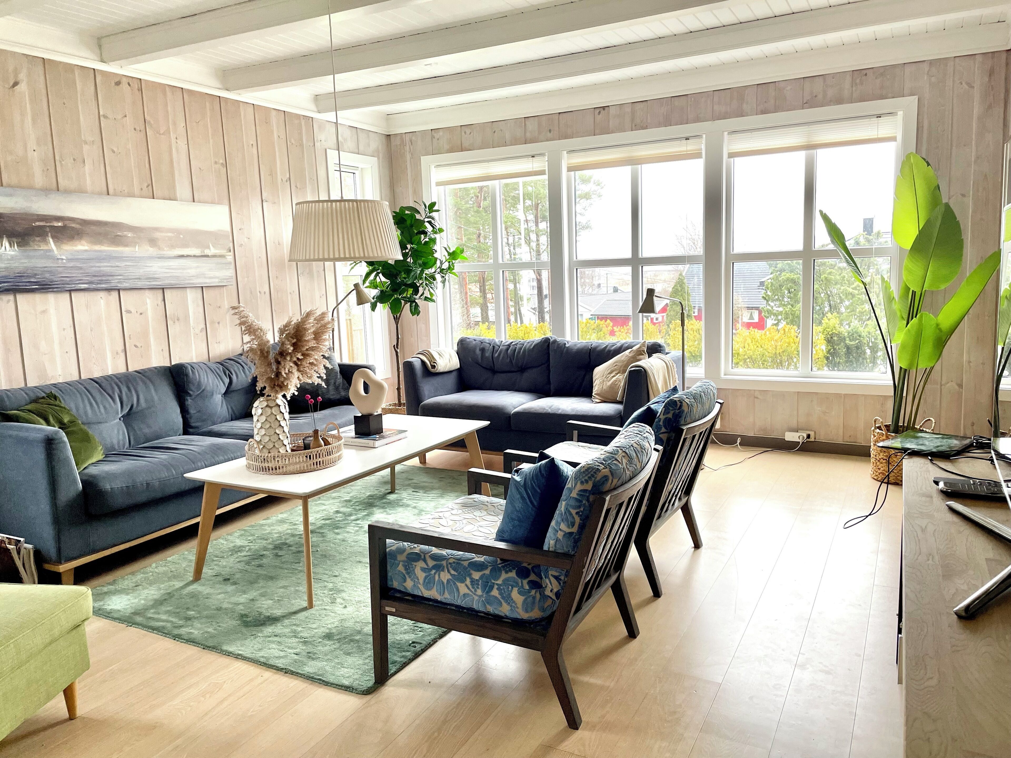 Televisor intel·ligent, llar de foc, futbolí i llibres 