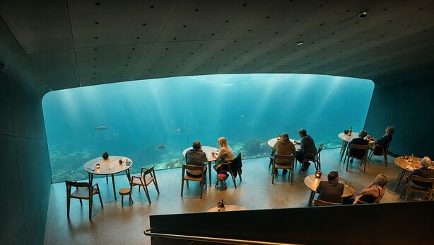 Un restaurant offrant une vue sur un paysage sous-marin, avec des tables et des chaises en bois.
