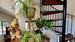 Una escalera con barandilla negra, un banco de madera y una planta en maceta colgando del techo.