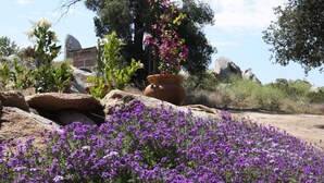 Un jardín con flores púrpuras, rocas y un árbol.