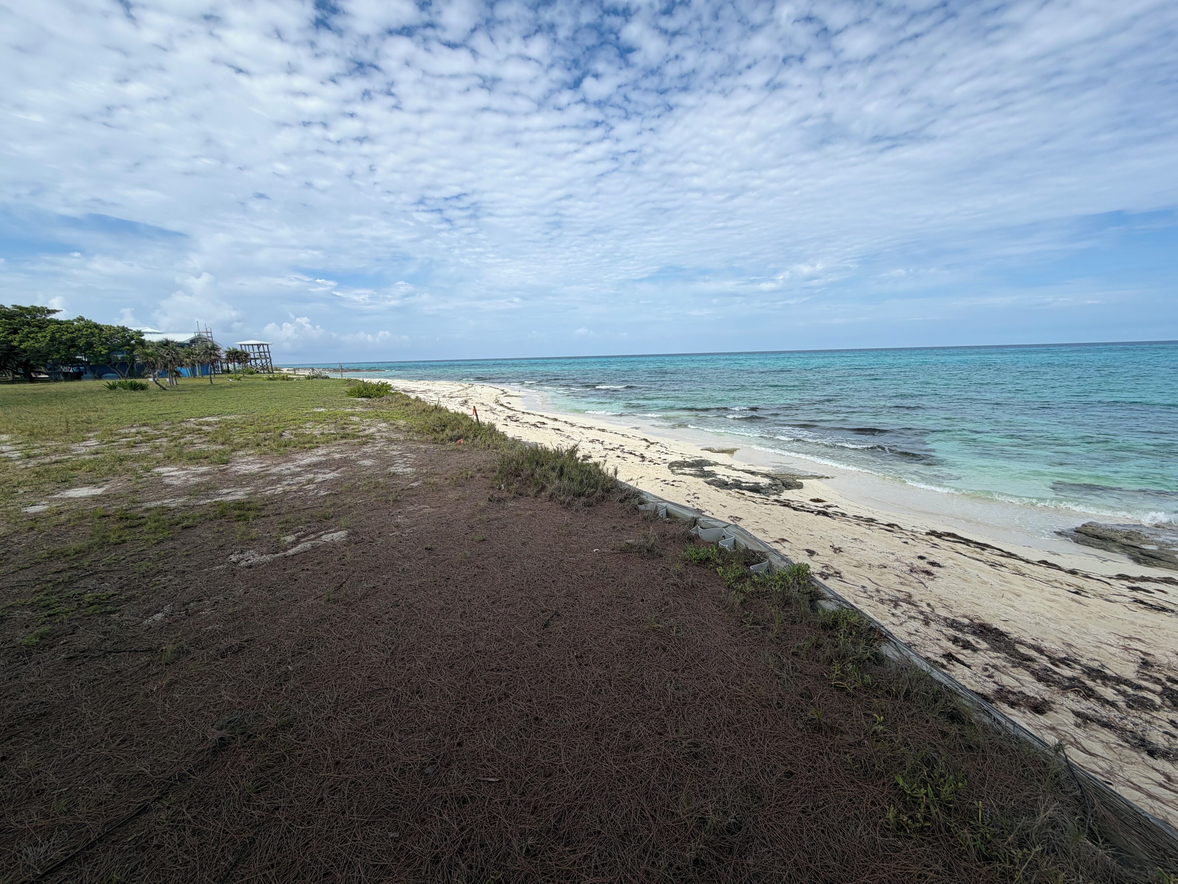 Une plage avec un ciel dégagé, une rive sablonneuse et une zone herbeuse, avec une construction visible au loin.