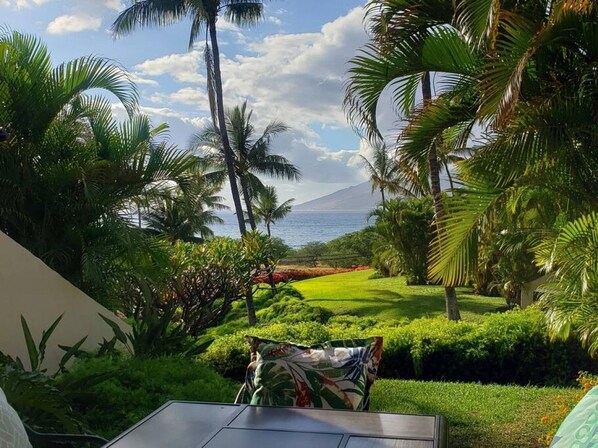 Un exuberante jardín con palmeras y vistas al océano.