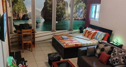 MAGNIFICENT FURNISHED STUDIO