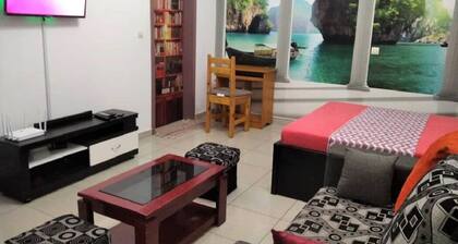 MAGNIFICENT FURNISHED STUDIO