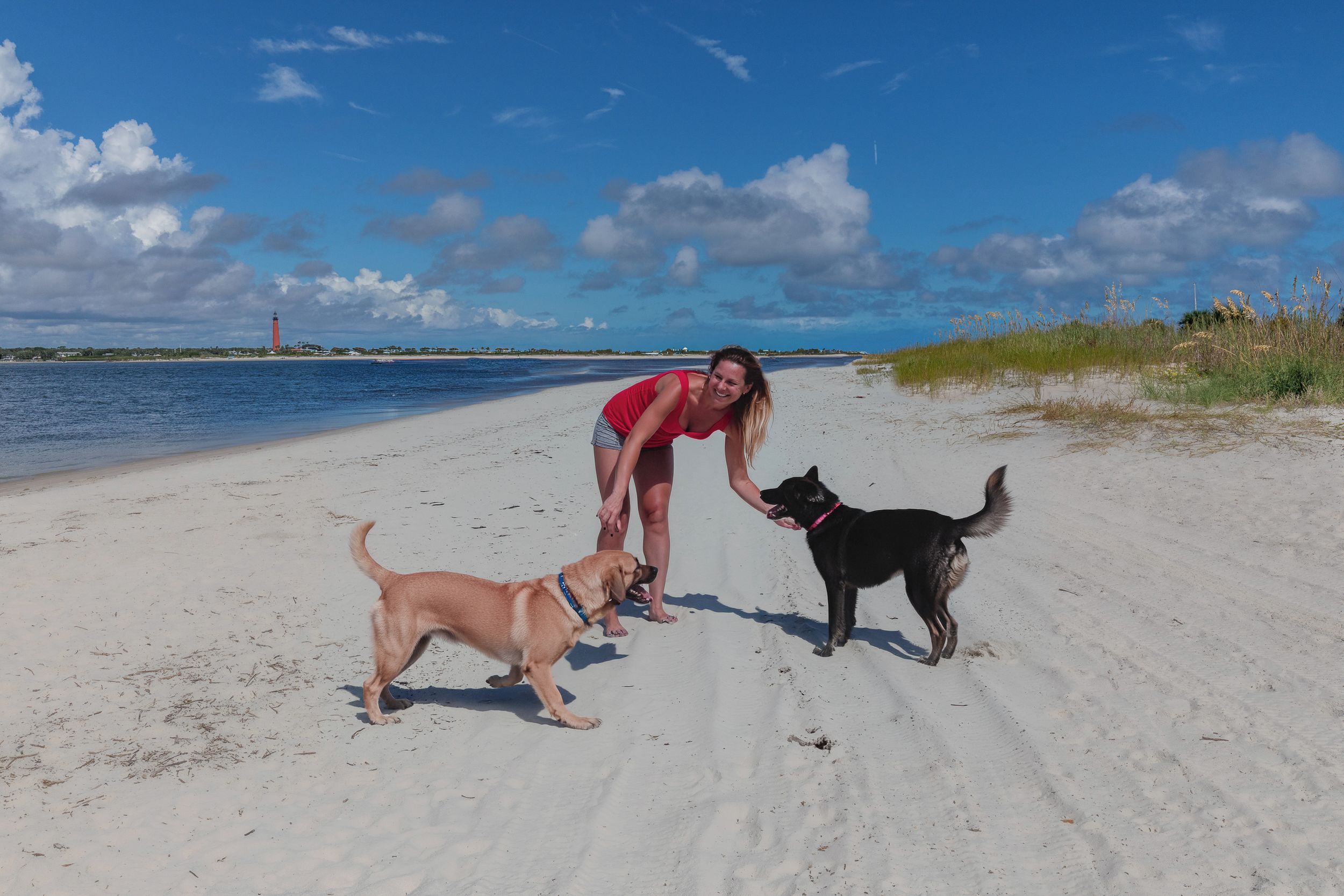 A beach with a lighthouse in the distance, a person bending down, and two dogs on the sand.
