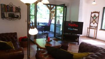 Fernseher, Kamin, Videospiele, DVD-Player