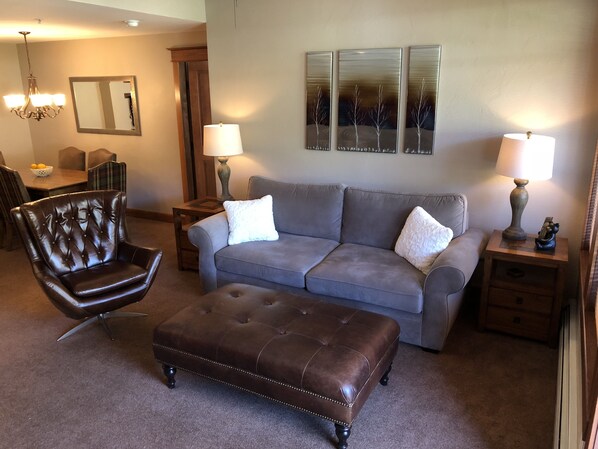 Televisión, chimenea, libros