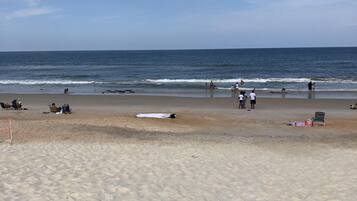 Nær stranden, solsenger, parasoller og strandhåndklær