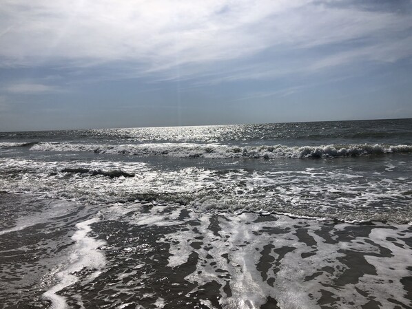 Beach nearby, sun loungers, beach towels - SPECTACULAR BEACH/OCEANVIEWS!!! PRIME LOCATION ON PALMETTO BLVD (Edisto Island)