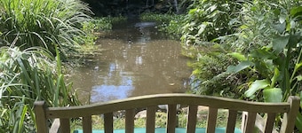 Convene With Nature With First Class Amenities! Create Memories! - Free Bike Use