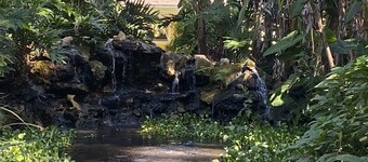 Convene With Nature With First Class Amenities! Create Memories! - Free Bike Use