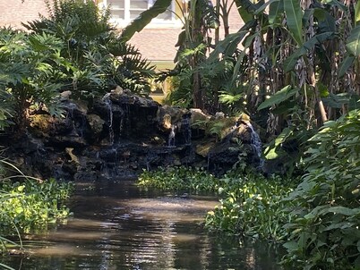 Convene With Nature With First Class Amenities! Create Memories! - Free Bike Use