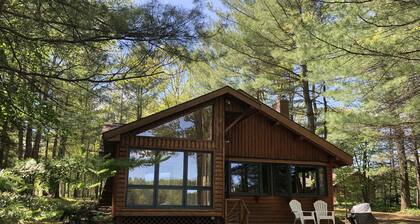 Cozy Log Cabin on Beautiful Lake in Northern Michigan