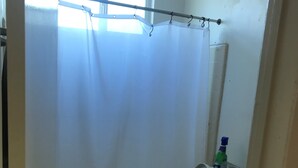 Une salle de bain avec un rideau de douche, des toilettes et un petit tapis sur le sol.