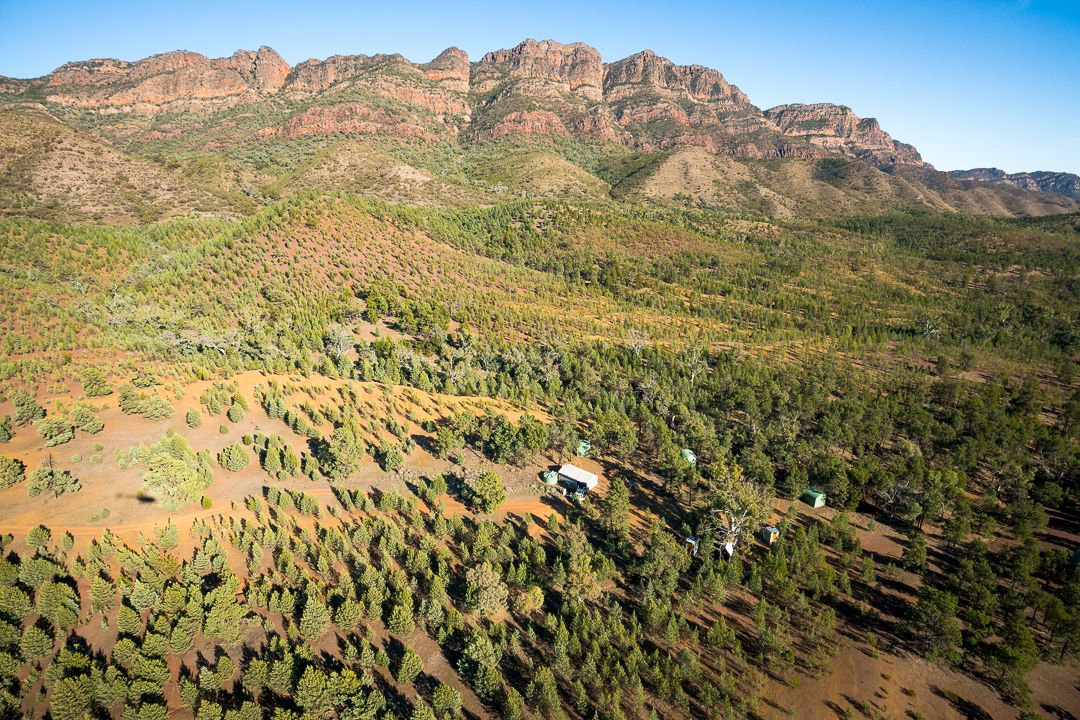 A mountainous landscape with a small cluster of cabins surrounded by dense forest.