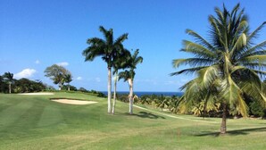 Ein Golfplatz mit freiem Blick auf den Ozean, Palmen und einer gepflegten Rasenfläche.