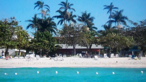 Ein Strand mit Palmen und blauem Meer. Liegestühle und Sonnenschirme liegen im Sand.