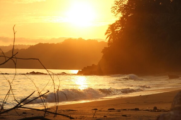 Pantai
