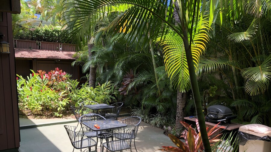 Maui What A Wonderful World B and B Hawaii