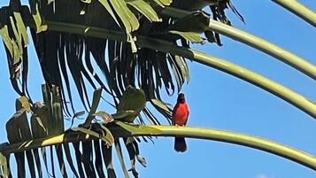A bird perched on a plant branch.
